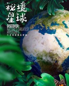 停职!南非执政党处分前总统祖马