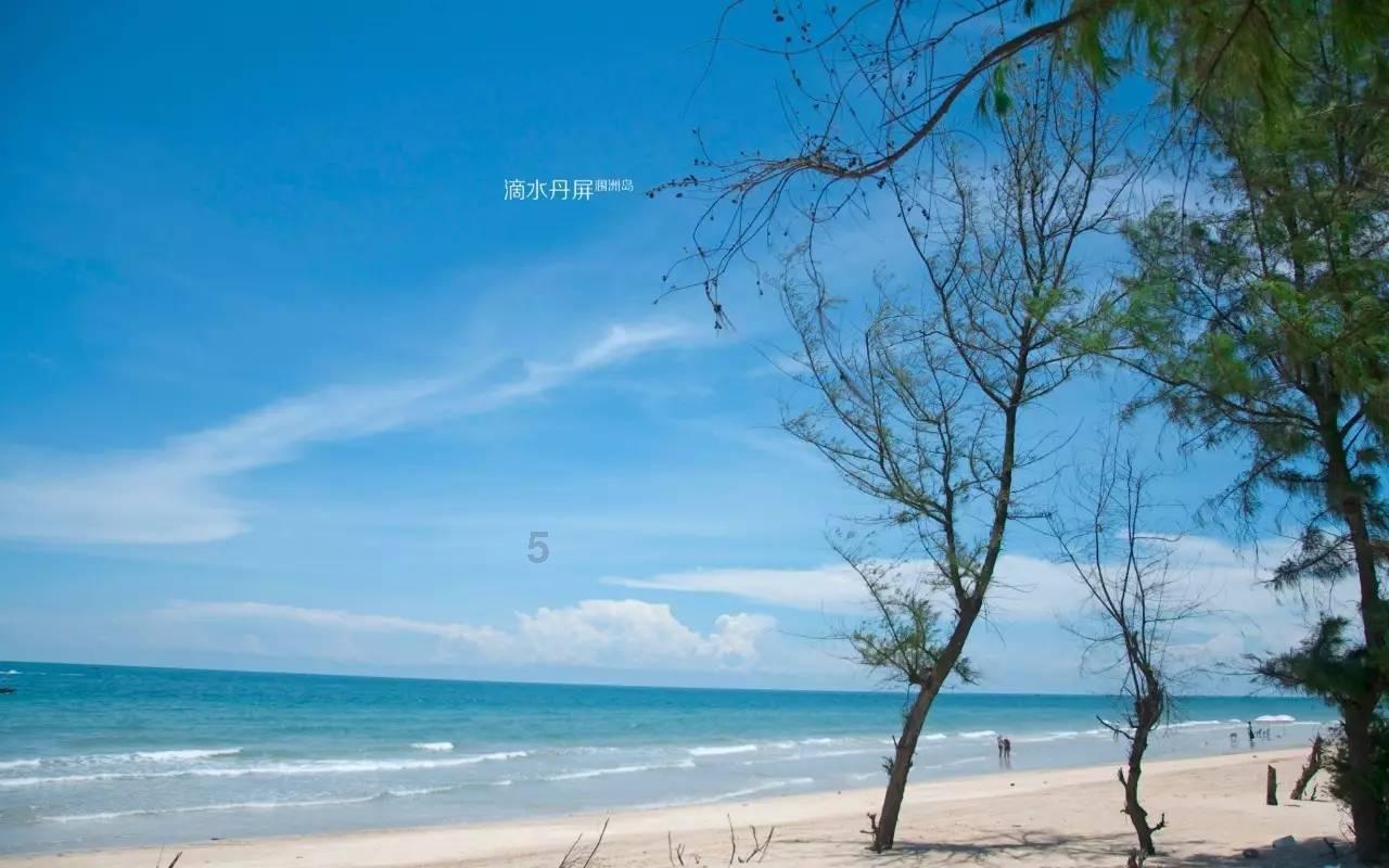 大众探歌这款车时的入场吗游戏画面