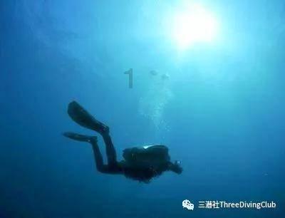 八大百亿级白酒基金去年蒸发超500亿,茅台也被集体减仓