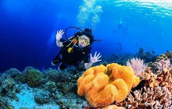 浪漫衣裙