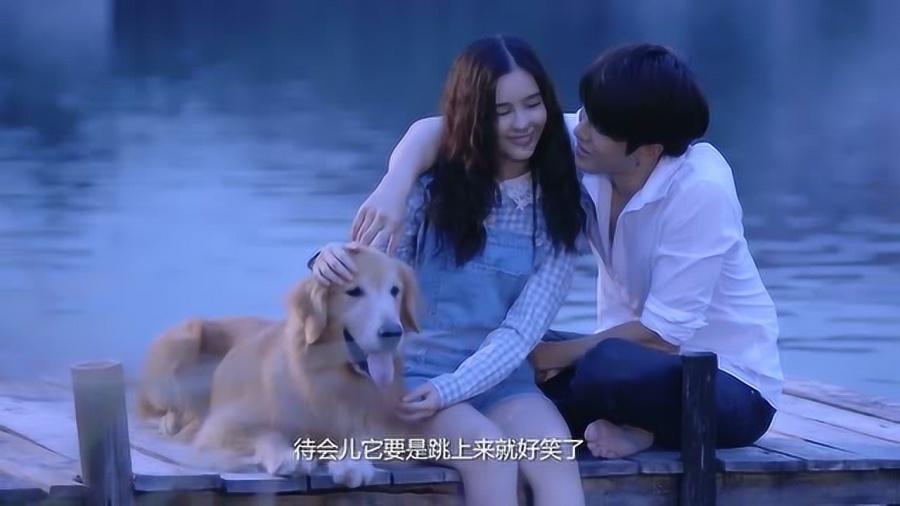 植物真的可以去甲醛吗？游戏画面