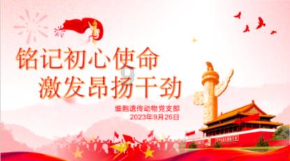 中国男篮未来核心!重点培养张镇麟等8人,以00后为主