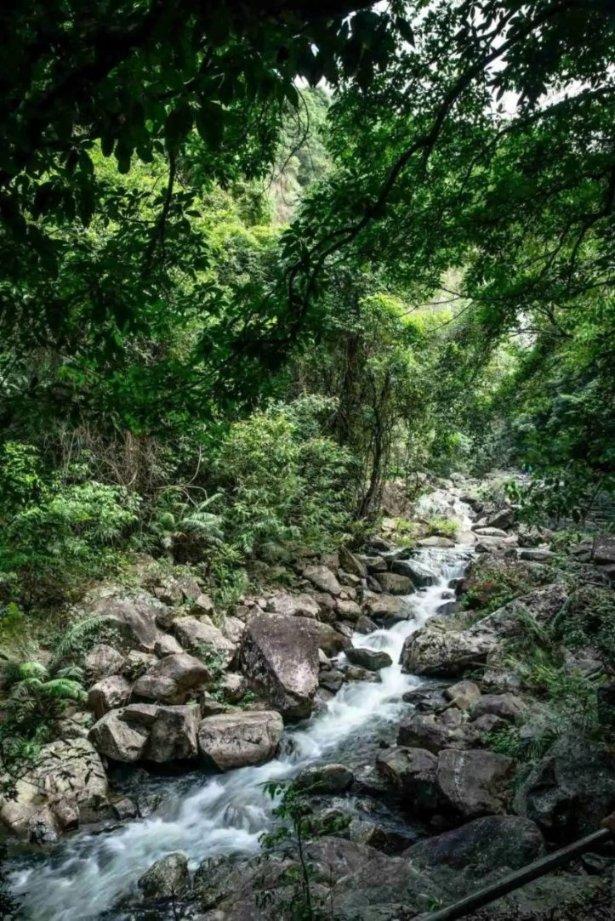 撒贝宁自曝本不想参加东方甄选团建,提苛刻要求,董宇辉搞笑回复