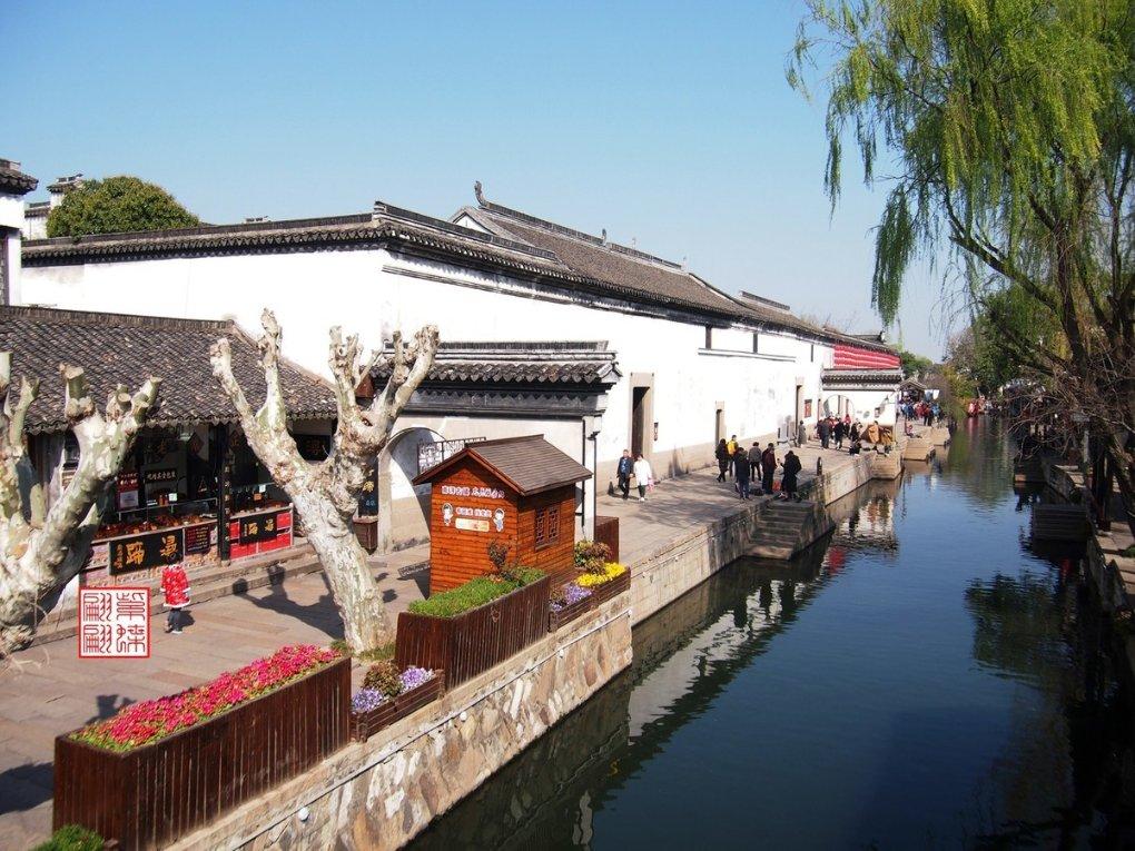 逃离椰子岛