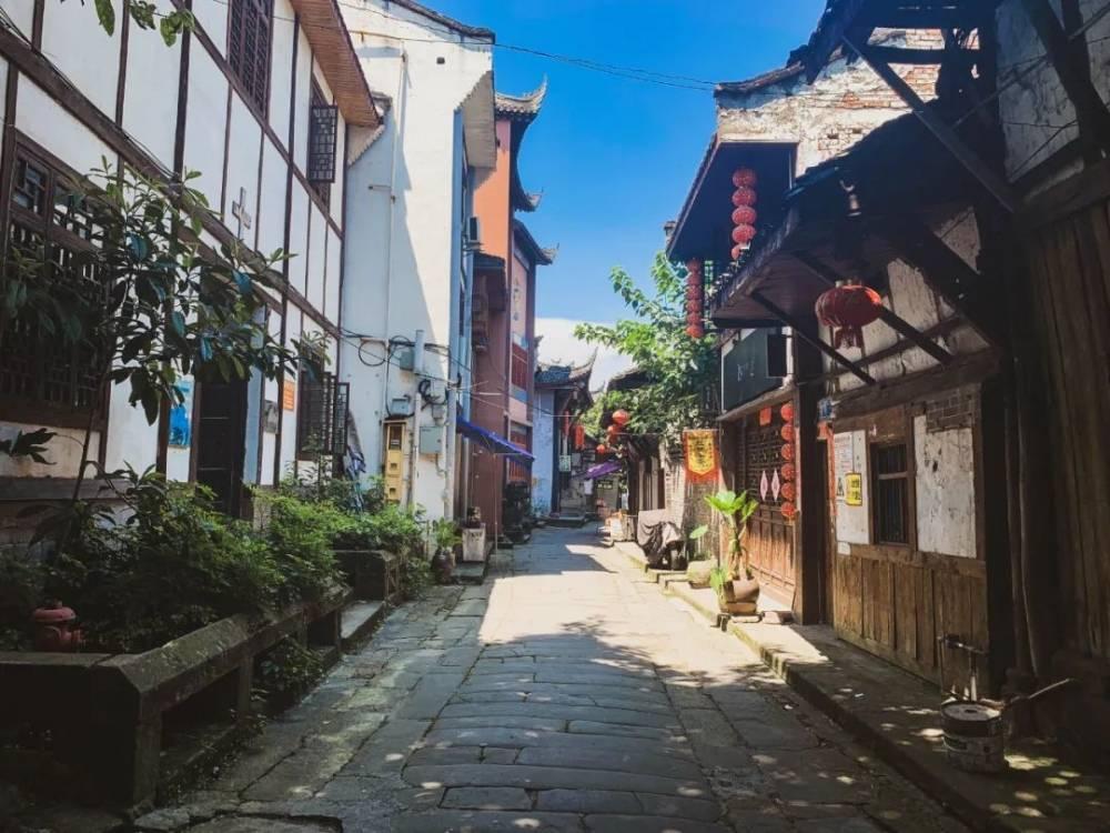 爱鸟人士组织来海南观测拍摄珍稀候鸟